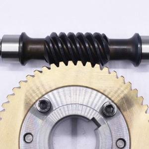 Worm Gear And Shaft